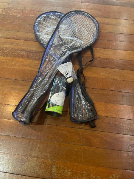 Aulas de Educação Física: Alunos do 8º Ano Vivenciam o Mundo do Badminton