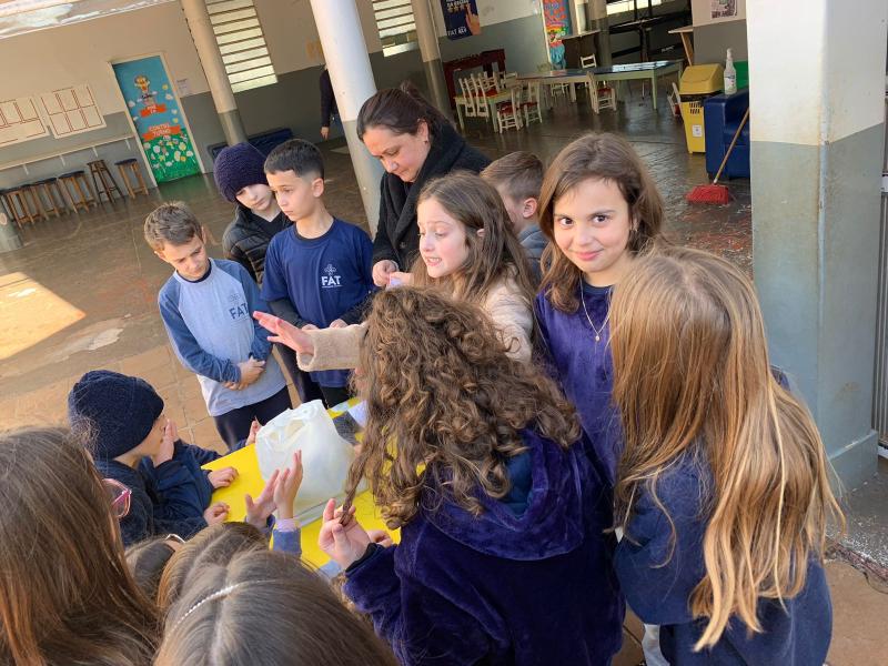 Alunos do 3º B plantam sementes de alpiste e aprendem na prática sobre a reprodução das plantas